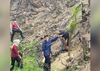 Ⓒ Hak cipta foto di atas dikembalikan sesungguhnya kepada pemilik foto