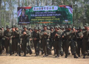 Ⓒ Hak cipta foto di atas dikembalikan sesungguhnya kepada pemilik foto