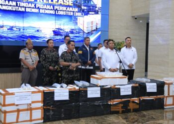 Direktur Tindak Pidana Tertentu Bareskrim Polri Brigjen Pol Mohammad Irhamni dalam konferensi pers di Lobby Gedung Awaloedin Djamin Bareskrim Polri Senin 19102026 FOTO Istimewa