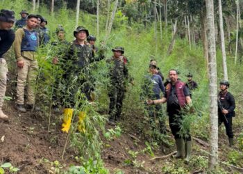 Ditresnarkoba Polda Aceh bersama Badan Narkotika Nasional Provinsi BNNP Aceh dan Polres Lhokseumawe berhasil mengungkap lokasi ladang ganja di Dusun Alue Garut Desa Teupin Ruseb Kecamatan Sawang Kabupaten Aceh UtaraFOTO Ist